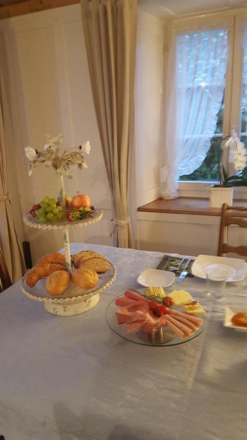 Airport Zuerich Elwiras B & B Lufingen Pokój zdjęcie