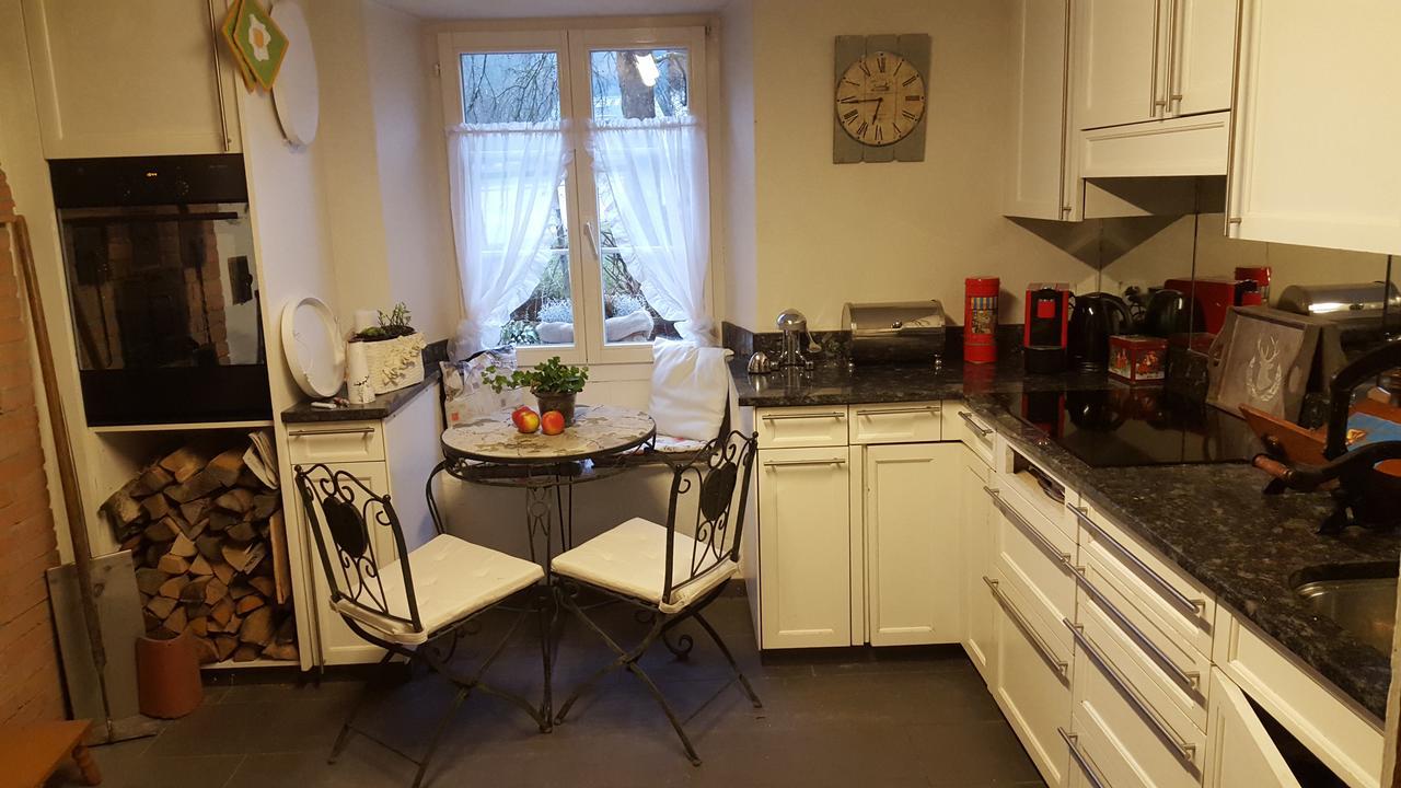 Airport Zuerich Elwiras B & B Lufingen Zewnętrze zdjęcie