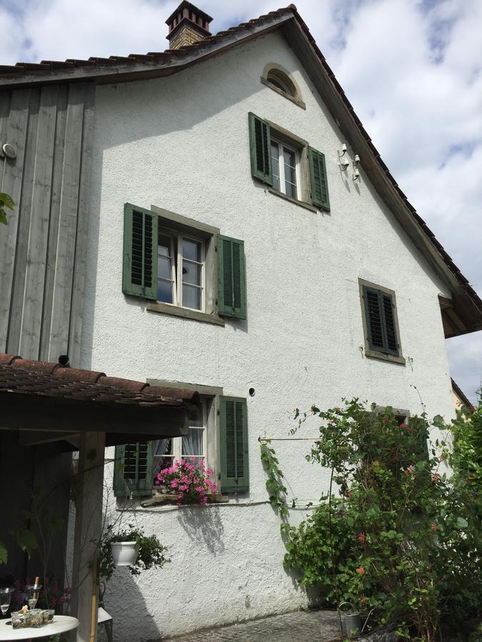 Airport Zuerich Elwiras B & B Lufingen Zewnętrze zdjęcie