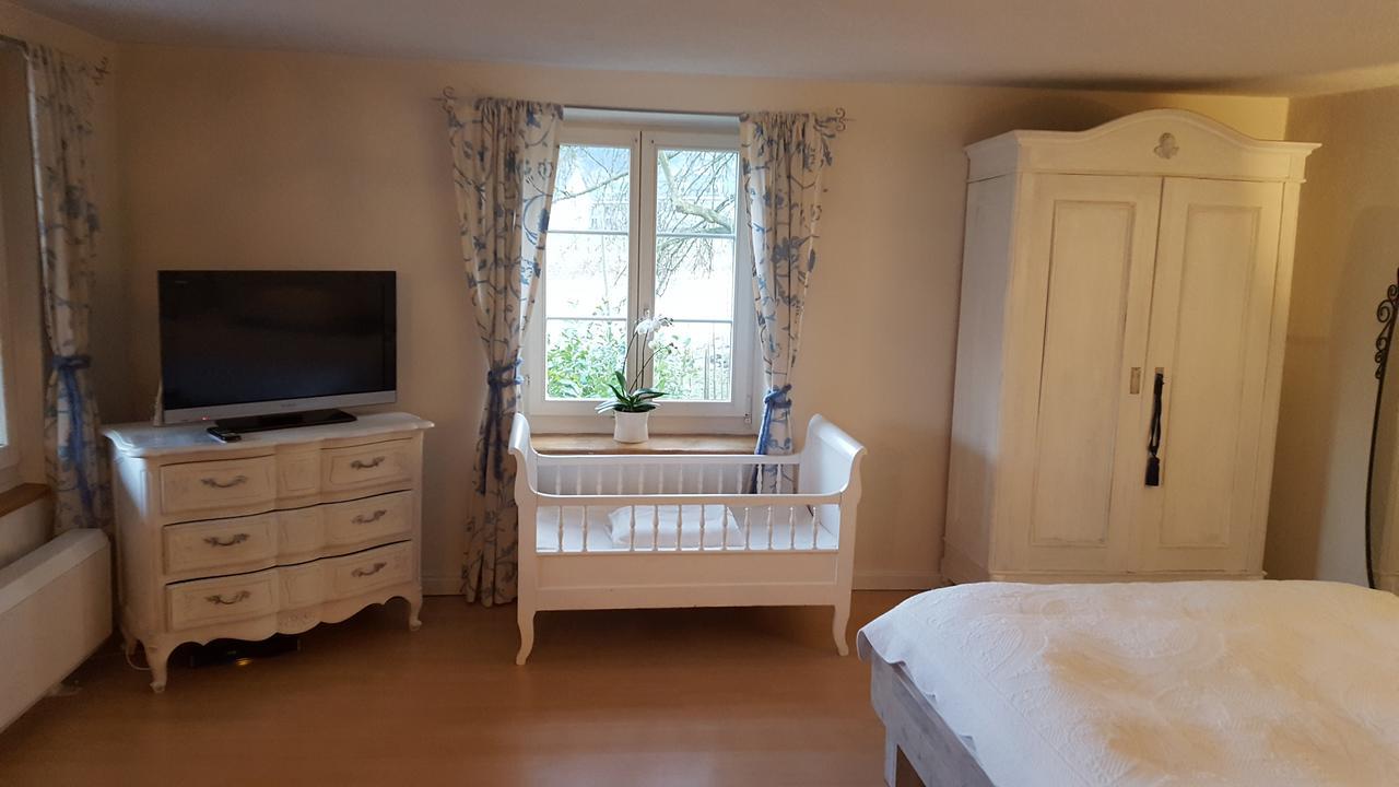 Airport Zuerich Elwiras B & B Lufingen Zewnętrze zdjęcie
